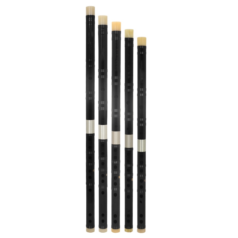 Fábrica de nación china, exqui - Musical Instrument Old reseña y precio