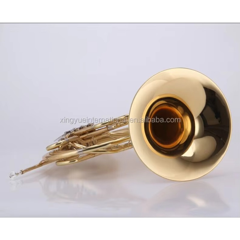Instrumentos musicales profesi - Musical Instrument French reseña y precio